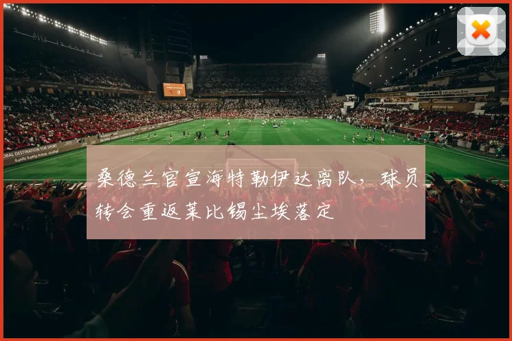 桑德兰官宣海特勒伊达离队，球员转会重返莱比锡尘埃落定